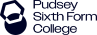 Pudsey logo